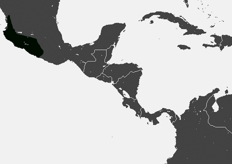멕시코땃쥐