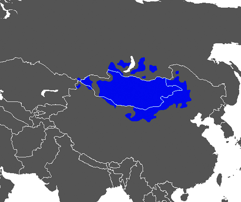 몽골어