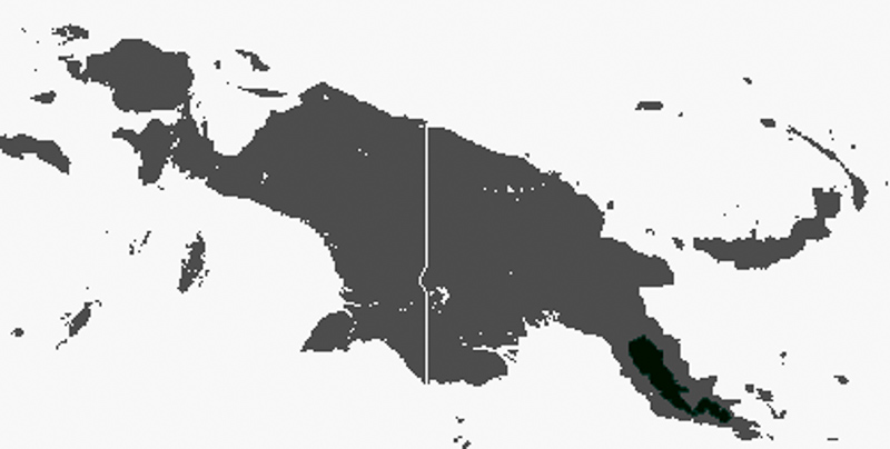 파푸아반디쿠트