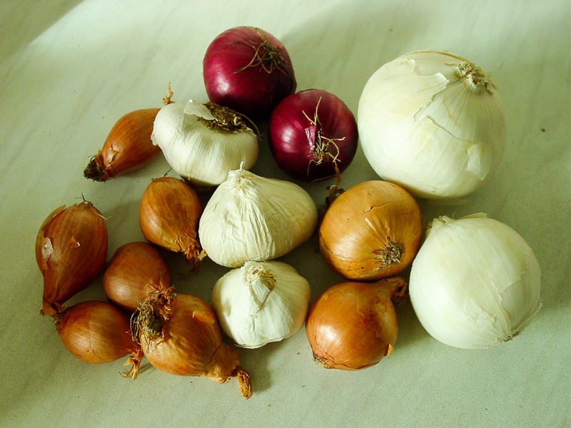Bawang Definition And Synonyms Of Bawang In The Malay Dictionary