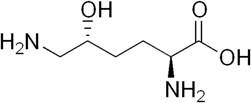 hydroksylizyna