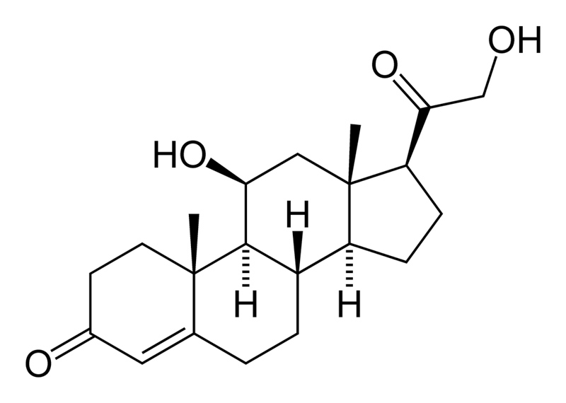 kortykosteron