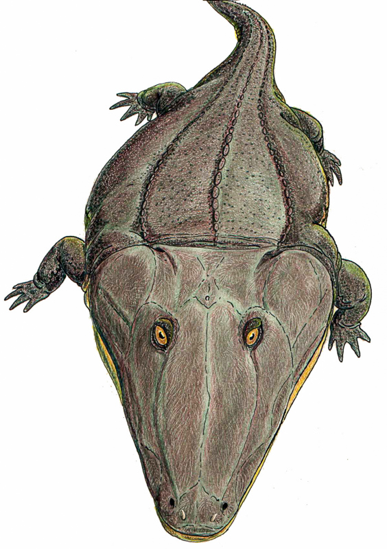 mastodonzaur