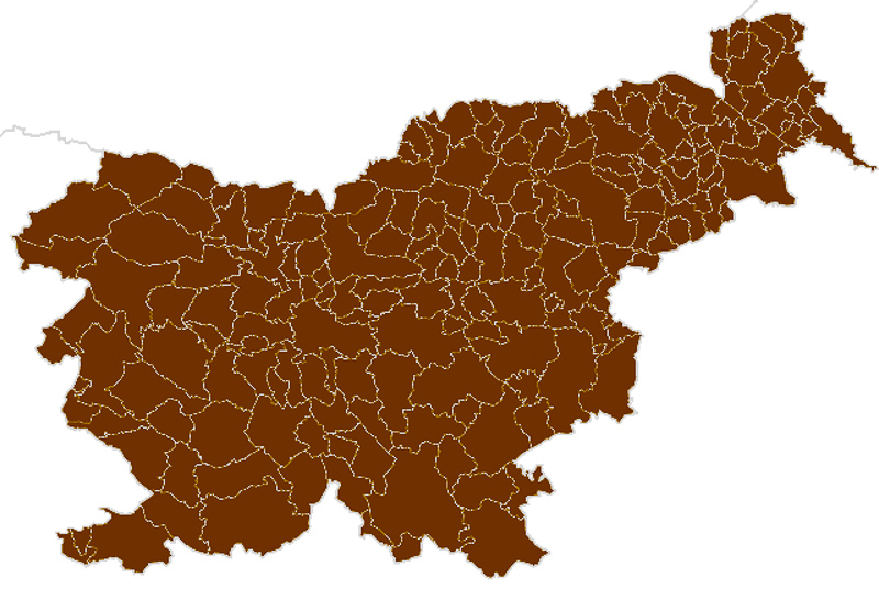 боснийцы
