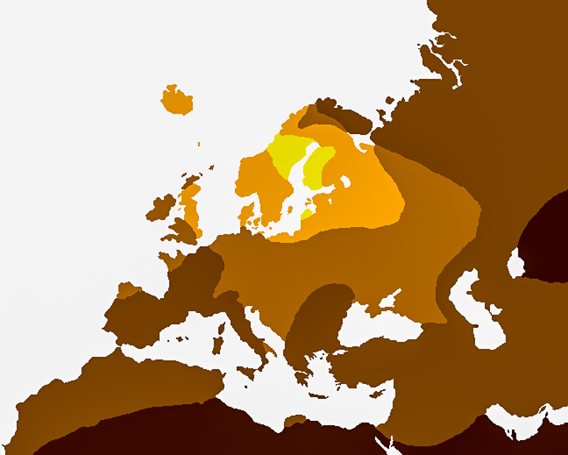 европеоид