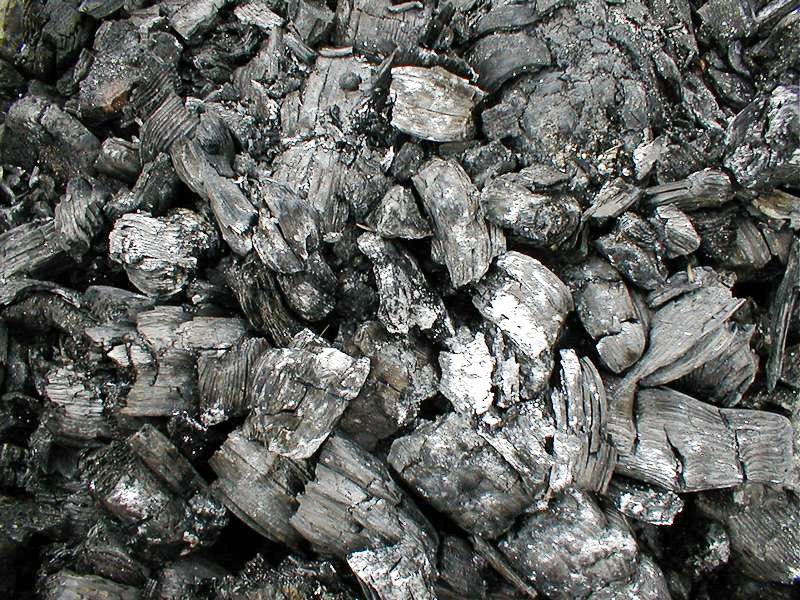 mangal kömürü