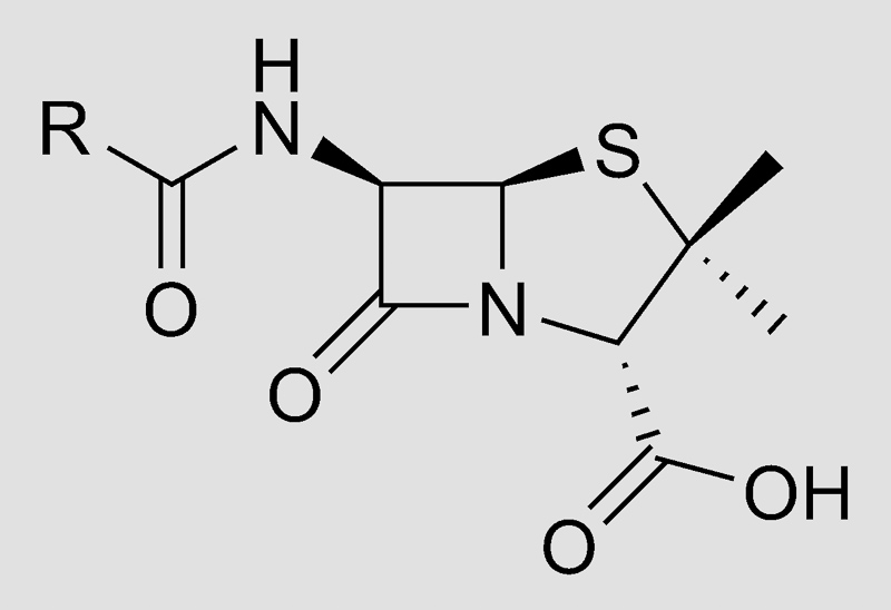 penisilin