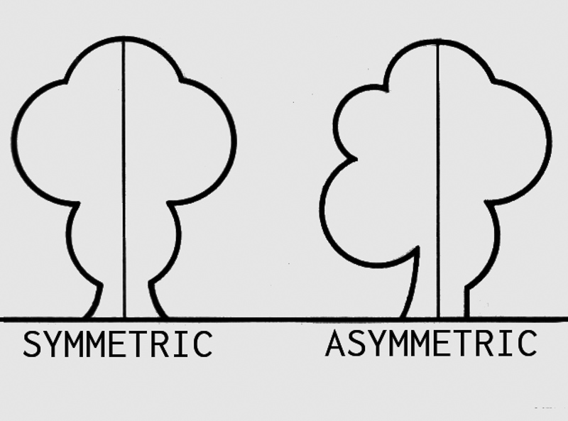 асиметрія