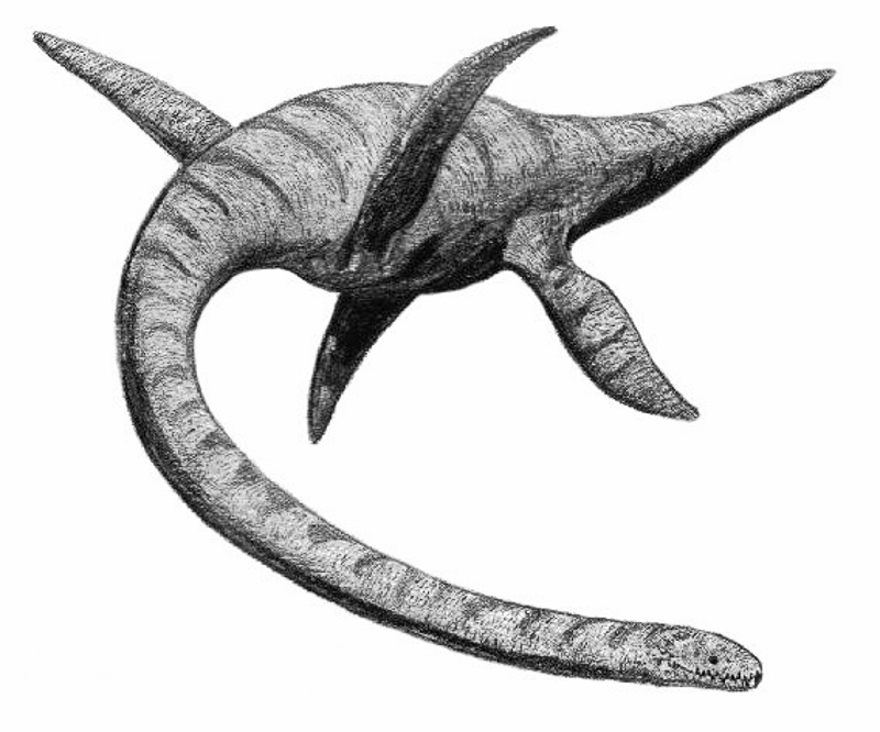 плезіозавр