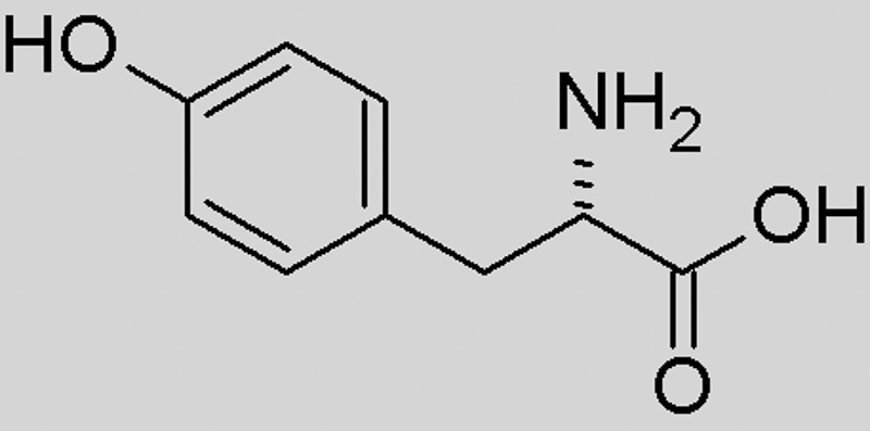 тирозин