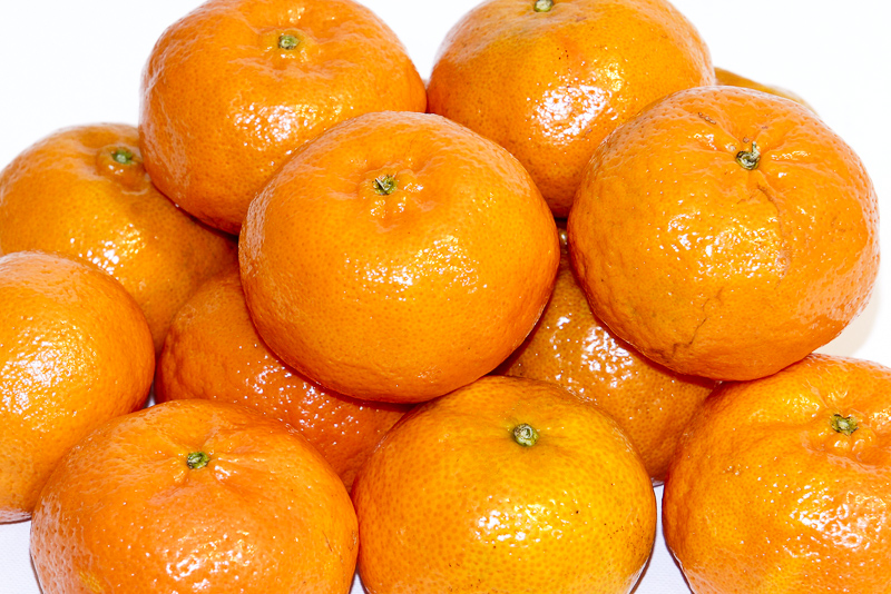 橘化为枳