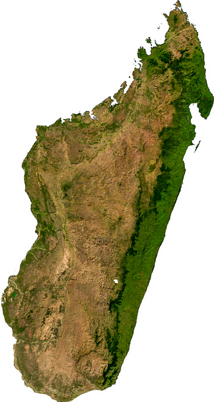 马达加斯加岛